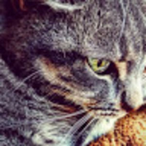 Meet your Posher, Timothy